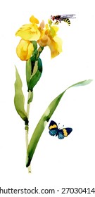 Watercolor garden yellow flowers with butterfly and bee isolated on white background vector illustration