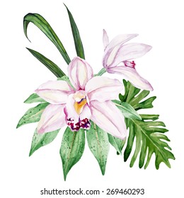 Watercolor gentle light Orchid flowers. Vector illustration