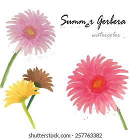 Watercolor Gerbera background