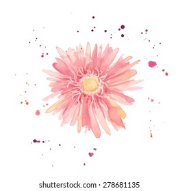 Watercolor gerbera. Single flower with paint drops and dots hand drawn. Vector botany illustration