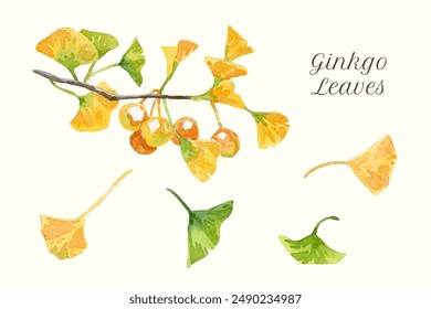 Watercolor ginkgo branch and leaves