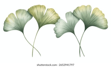 Aquarela ginkgo folhas arranjo ilustração botânica