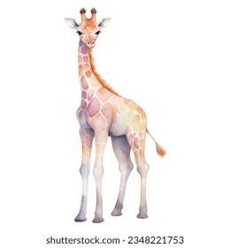 Watercolor giraffe. Vector illustration with hand drawn cute giraffe. Clip art image.