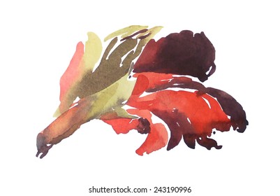 Watercolor gladiolus