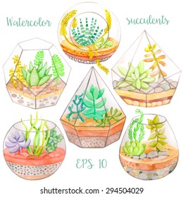 Watercolor glass terrariums with succulents set