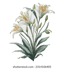 Watercolor Goldenrayed Lily simple vector clipart floral bouquet wedding invitation decoration: A captivating depiction of the unique Psychopsis orchid in a watercolor-inspired vector format.