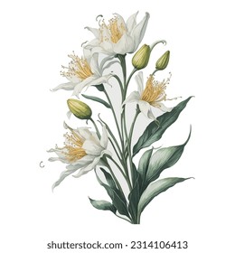 Watercolor Goldenrayed Lily simple vector clipart floral bouquet wedding invitation decoration: A captivating depiction of the unique Psychopsis orchid in a watercolor-inspired vector format.