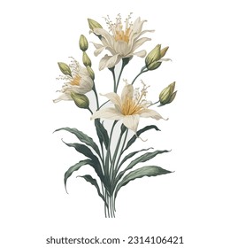 Watercolor Goldenrayed Lily simple vector clipart floral bouquet wedding invitation decoration: A captivating depiction of the unique Psychopsis orchid in a watercolor-inspired vector format.