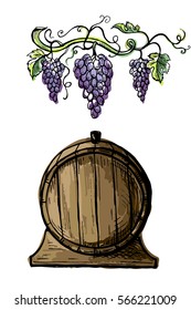 Watercolor grape branches and wine barrel isolated on white background in graphic style hand-drawn vector illustration