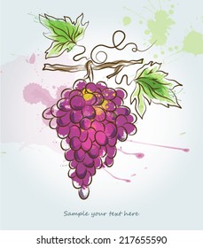 Watercolor grape bunch illustration