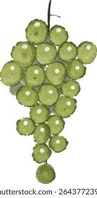 watercolor grape fruits illustration fresh nature