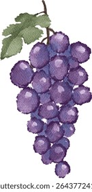 watercolor grape fruits illustration fresh nature