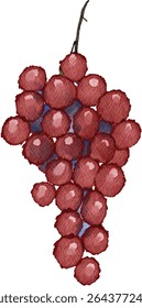 watercolor grape fruits illustration fresh nature