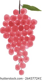 watercolor grape fruits illustration fresh nature