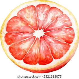 Watercolor Grapefruit Illustration. Hand-drawn fresh food design element isolated on a white background.