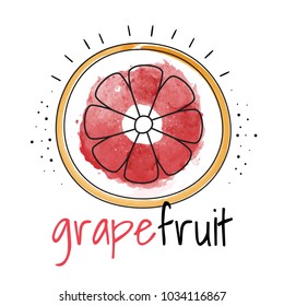 Watercolor grapefruit. Vector illustration
