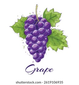 Watercolor grapes bunch sketch. Ripe grapes with leaves isolated vector illustration