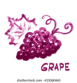 Watercolor Grapes. Vector design for wine list.