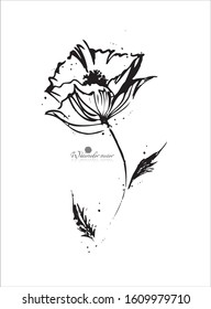 Watercolor, graphic black-and-white flower, hand-drawn