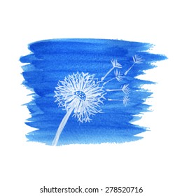 Watercolor graphic dandelion. Vector 
