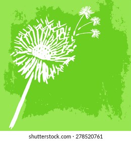 Watercolor graphic dandelion. Vector 