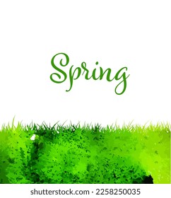 Watercolor grass background. Hello Spring. Vector illustration