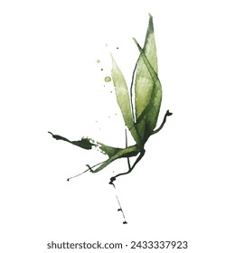 Watercolor green bamboo branch with leaves. Exotic greenery twig. Clipart watercolour illustration.