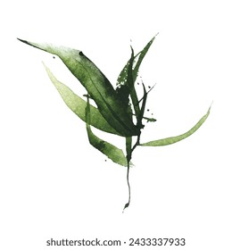 Watercolor green bamboo branch with leaves. Exotic greenery twig. Clipart watercolour illustration.