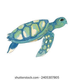 watercolor green big adorable turtles. Set of vector watercolor turtle. Watercolor sea turtle isolated on a white background.