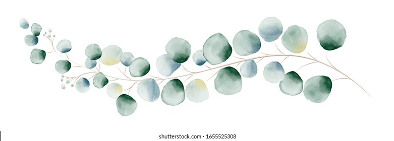 Watercolor green bouquet with eucalyptus leaves and branches. Greenery leaf hand-painted isolated. Can be used as being an element in the decorative design of invitation, wedding or greeting cards.
