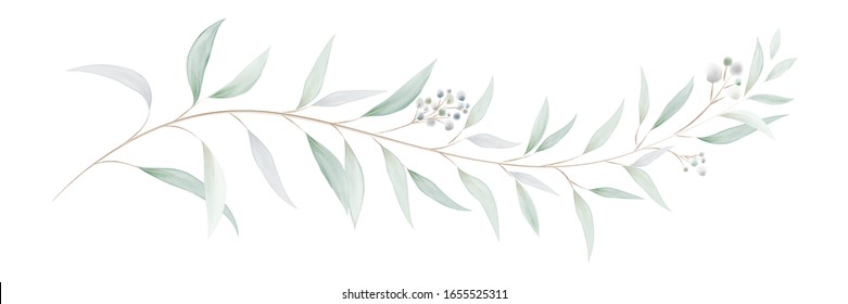 Watercolor green bouquet with eucalyptus leaves and branches. Greenery leaf hand-painted isolated. Can be used as being an element in the decorative design of invitation, wedding or greeting cards.