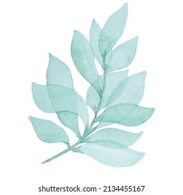 Watercolor green bouquet with leaves and branches. Greenery leaf hand-painted isolated. Can be used as being an element in the decorative design of invitation, wedding or greeting cards.