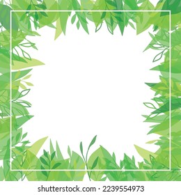 Watercolor Green Branch Frame With White Circle. Colorful leaves summer spring leaves frame wreth