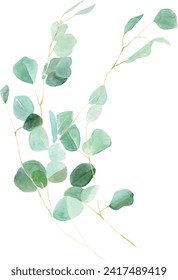 Watercolor green branches eucalyptus bouquet. Hand painted floral illustration olive tree leaves, succulent. Healing Herbs for cards, wedding invitation, greeting design isolated on white background.