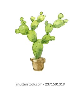 Watercolor green cactus. Hand-drawn illustration isolated on the white background