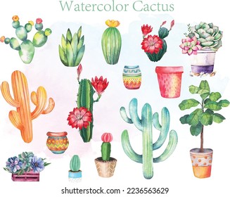 Colección de conjuntos de cactus verdes de color de agua