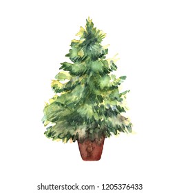 Watercolor green Christmas tree on white background. Isolated hand drawn plant for your design. Vector illustration
