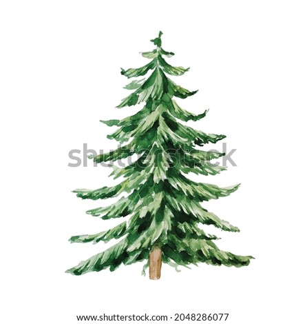 Watercolor green Christmas tree on white background. Fir tree watercolor image.