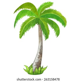 Watercolor green coconut palm tree closeup isolated on white background. Hand painting on paper

