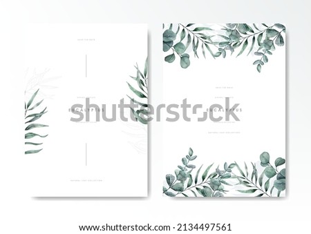 Watercolor green eucalyptus background template vector design set, suitable for print job, card, background and etc.