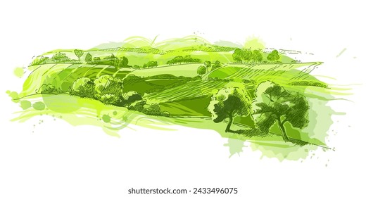 Watercolor green field landscape on small hill. Meadow grass, nature, pasturage, farm. Rural scenery landscape panorama of countryside pastures. Vector