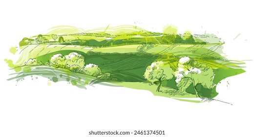 Watercolor green field landscape on small hill. Vector meadow grass, nature, pasturage, farm. Rural scenery landscape panorama of countryside pastures.