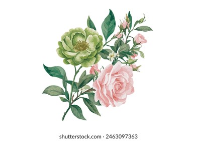 Ilustración del Clipart de la flor verde de la acuarela y rama floral de la rosa con hojas verdes sobre fondo blanco