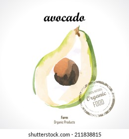 Watercolor green fresh avocado. Provencal style. Recent watercolor paintings of organic food. Veggie menu