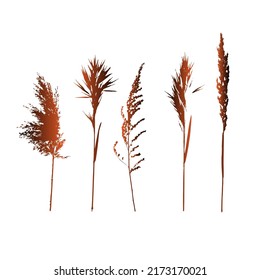 Watercolor green grass. Hand painted summer field clipart, grass patch illustration isolated on white background. Greenery bunch texture