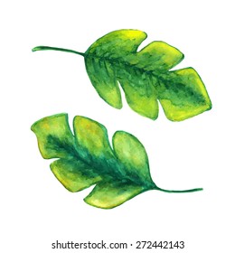 Watercolor Green Leaf