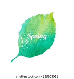 Watercolor green leaf design element. Vector illustration