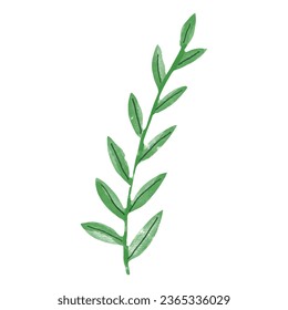 watercolor green leaf element design