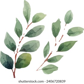 watercolor green leaf element illustration