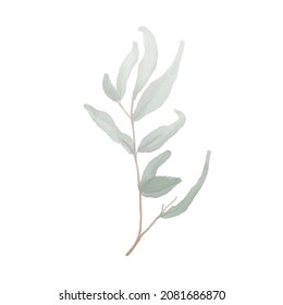 Watercolor green leaf vector illustration